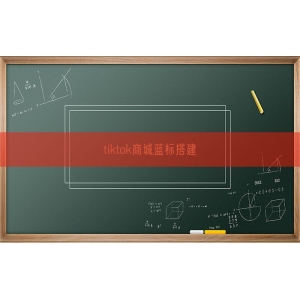 tiktok商城蓝标搭建