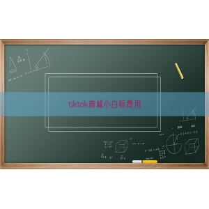 tiktok商城小白标费用