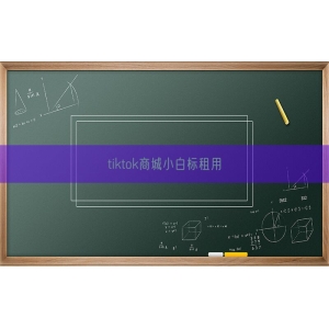 tiktok商城小白标租用