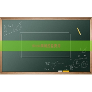 tiktok商城控盘费用