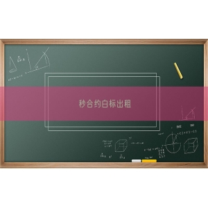 秒合约白标出租