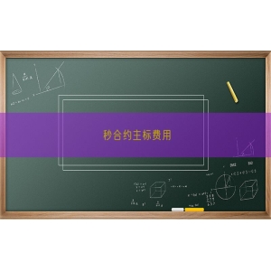 秒合约主标费用