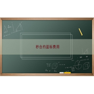 秒合约蓝标费用