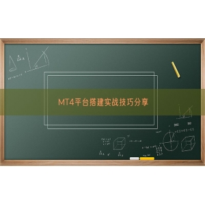 MT4平台搭建实战技巧分享