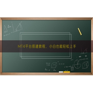 MT4平台搭建教程，小白也能轻松上手