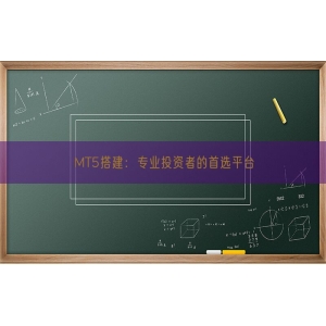 MT5搭建：专业投资者的首选平台