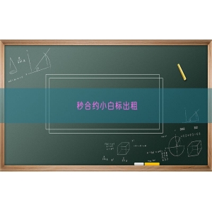 秒合约小白标出租