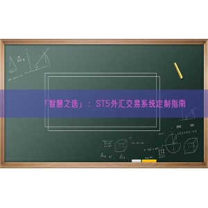 「智慧之选」：ST5外汇交易系统定制指南