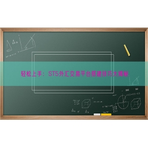 轻松上手：ST5外汇交易平台搭建技巧大揭秘