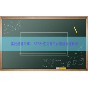 实战经验分享：ST5外汇交易平台搭建全面解析