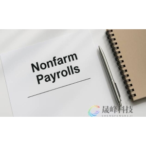 数据真空笼罩！9月非农料推迟发布，市场疯寻替代数据-市场参考-晟峰科技数据
