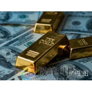 金价要飙到5000美元？行业大佬大胆预测：明年还有27%的上涨空间！-市场参考-