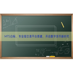 MT5白标，专业级交易平台搭建，开启数字货币新时代