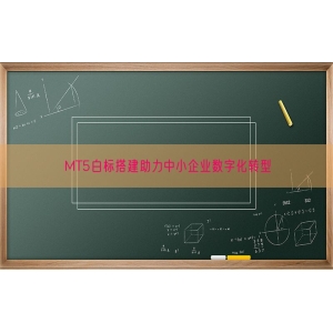 MT5白标搭建助力中小企业数字化转型