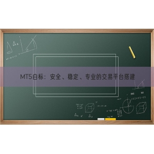 MT5白标：安全、稳定、专业的交易平台搭建