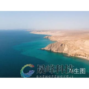 “油荒”恐慌爆发！科威特或被迫减产，美油日内暴涨超10%-市场参考-晟峰科技数据